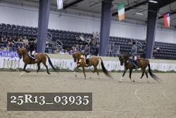 25R13_03935 thumbnail