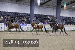 25R13_03936 thumbnail
