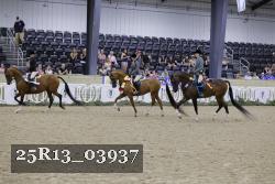 25R13_03937 thumbnail