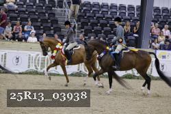 25R13_03938 thumbnail