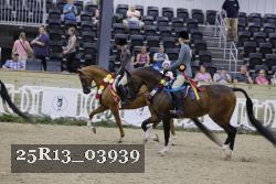25R13_03939 thumbnail