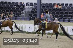 25R13_03940 thumbnail