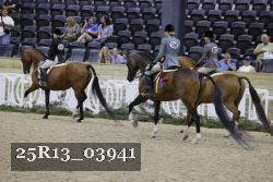 25R13_03941 thumbnail