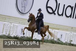 25R13_03984 thumbnail