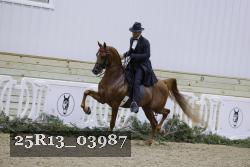 25R13_03987 thumbnail
