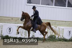 25R13_03989 thumbnail