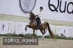 25R13_03992 thumbnail