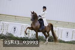 25R13_03993 thumbnail