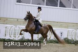 25R13_03994 thumbnail
