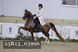 25R13_03996 thumbnail