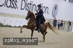 25R13_03997 thumbnail