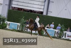 25R13_03999 thumbnail