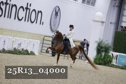 25R13_04000 thumbnail