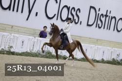 25R13_04001 thumbnail