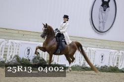25R13_04002 thumbnail