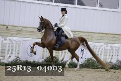 25R13_04003 thumbnail