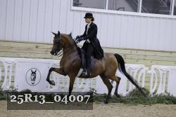 25R13_04007 thumbnail