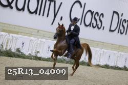 25R13_04009 thumbnail