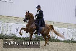 25R13_04010 thumbnail