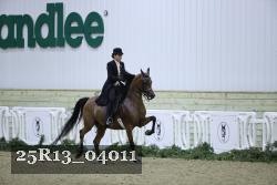 25R13_04011 thumbnail