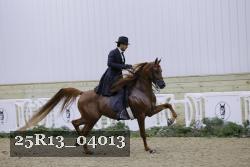 25R13_04013 thumbnail