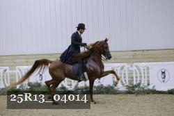 25R13_04014 thumbnail