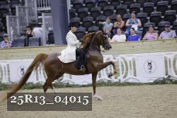 25R13_04015 thumbnail