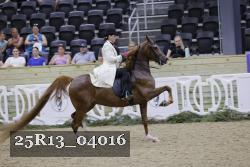 25R13_04016 thumbnail