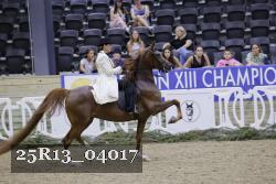 25R13_04017 thumbnail