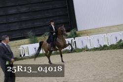 25R13_04018 thumbnail