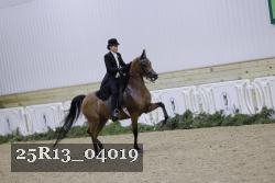 25R13_04019 thumbnail