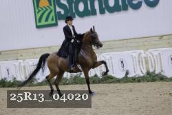 25R13_04020 thumbnail