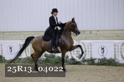 25R13_04022 thumbnail