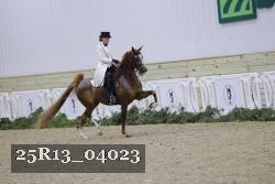 25R13_04023 thumbnail