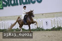 25R13_04024 thumbnail