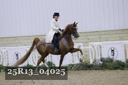 25R13_04025 thumbnail