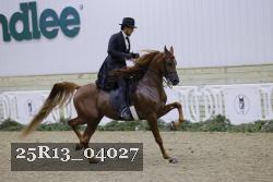 25R13_04027 thumbnail
