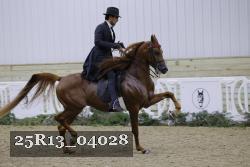 25R13_04028 thumbnail