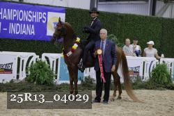 25R13_04029 thumbnail