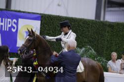 25R13_04034 thumbnail