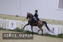 25R13_04046 thumbnail