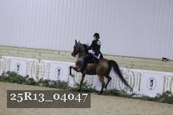 25R13_04047 thumbnail