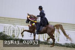 25R13_04053 thumbnail