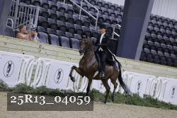 25R13_04059 thumbnail
