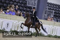 25R13_04060 thumbnail