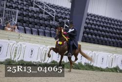 25R13_04065 thumbnail