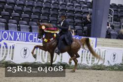 25R13_04068 thumbnail