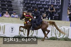 25R13_04070 thumbnail