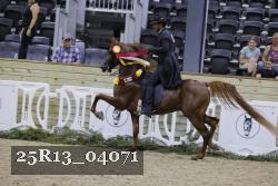 25R13_04071 thumbnail
