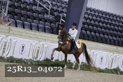 25R13_04072 thumbnail